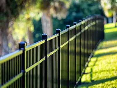 Fencing TX 3