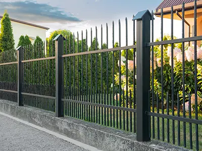 Fencing TX 5