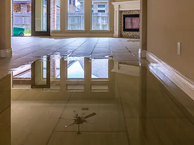 Water Mitigation TX 4